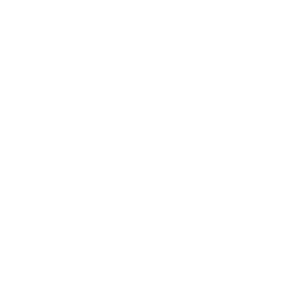 OASIS_IMMERSION_logo_WHITE-01